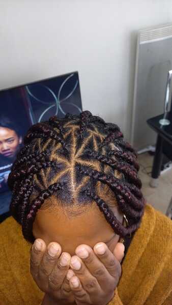 salon de coiffure afro tresse tresses box braids crochet braids vanilles tissages paris 75 77 78 91 92 93 94 95 DYNXZSTA