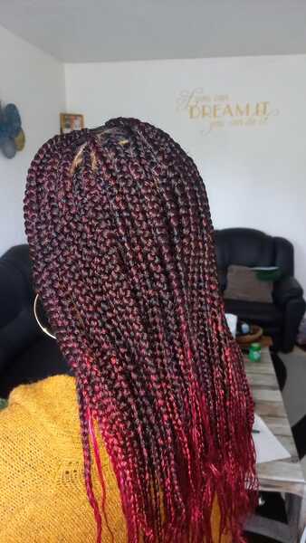salon de coiffure afro tresse tresses box braids crochet braids vanilles tissages paris 75 77 78 91 92 93 94 95 DYCBVKRN