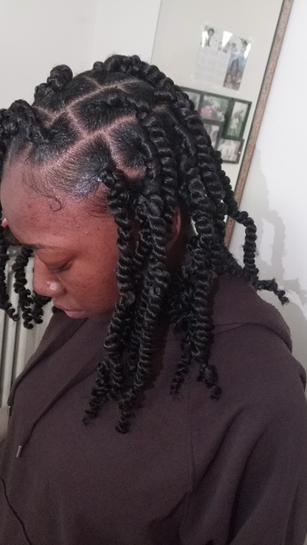 salon de coiffure afro tresse tresses box braids crochet braids vanilles tissages paris 75 77 78 91 92 93 94 95 XBFCCYNW