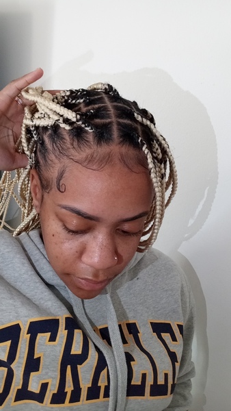 salon de coiffure afro tresse tresses box braids crochet braids vanilles tissages paris 75 77 78 91 92 93 94 95 SXISTMSW