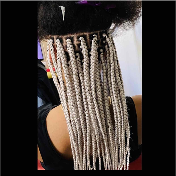 salon de coiffure afro tresse tresses box braids crochet braids vanilles tissages paris 75 77 78 91 92 93 94 95 FWQOMTNL
