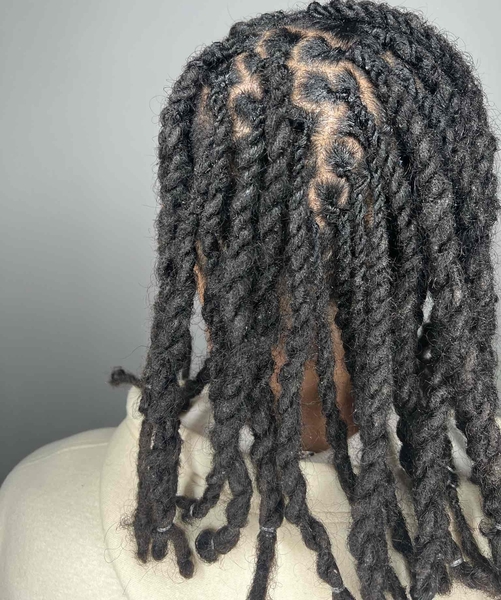 salon de coiffure afro tresse tresses box braids crochet braids vanilles tissages paris 75 77 78 91 92 93 94 95 LPZVJGAT