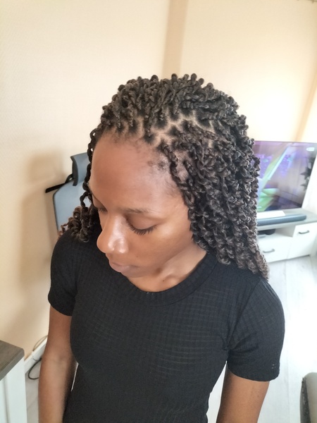 salon de coiffure afro tresse tresses box braids crochet braids vanilles tissages paris 75 77 78 91 92 93 94 95 GZRZLTMP