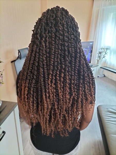 salon de coiffure afro tresse tresses box braids crochet braids vanilles tissages paris 75 77 78 91 92 93 94 95 WUOMVUIM