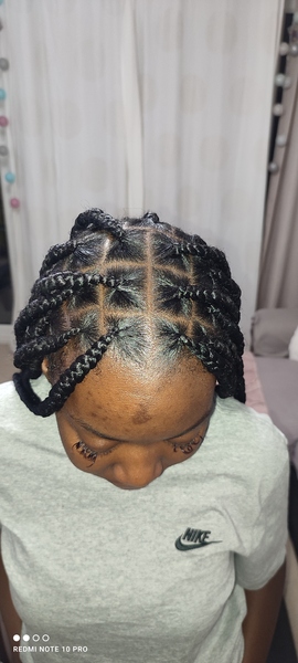 salon de coiffure afro tresse tresses box braids crochet braids vanilles tissages paris 75 77 78 91 92 93 94 95 LJFBDWEW