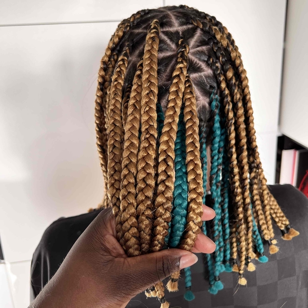 salon de coiffure afro tresse tresses box braids crochet braids vanilles tissages paris 75 77 78 91 92 93 94 95 YZXPYZRN