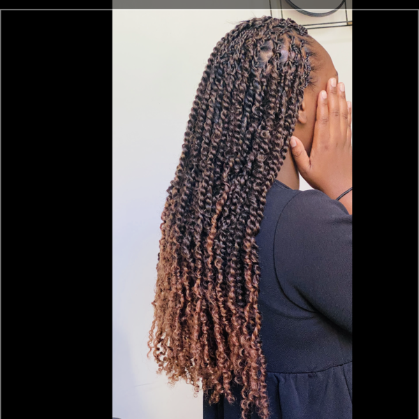 salon de coiffure afro tresse tresses box braids crochet braids vanilles tissages paris 75 77 78 91 92 93 94 95 DVBJDKPW