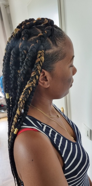 salon de coiffure afro tresse tresses box braids crochet braids vanilles tissages paris 75 77 78 91 92 93 94 95 RTXEJQAL