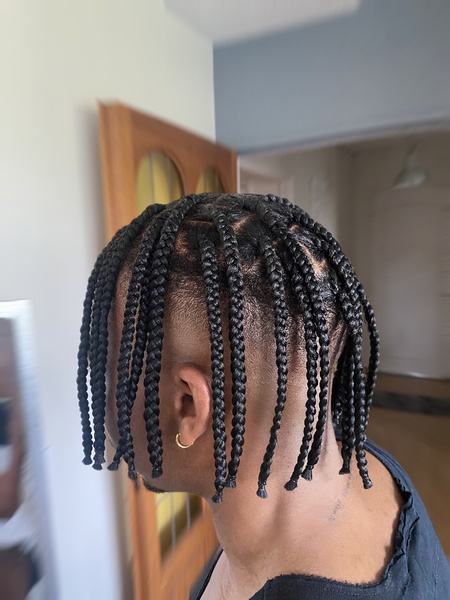 salon de coiffure afro tresse tresses box braids crochet braids vanilles tissages paris 75 77 78 91 92 93 94 95 EQMCZEGN
