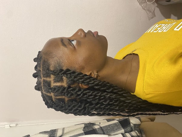 salon de coiffure afro tresse tresses box braids crochet braids vanilles tissages paris 75 77 78 91 92 93 94 95 JDMYGKTT