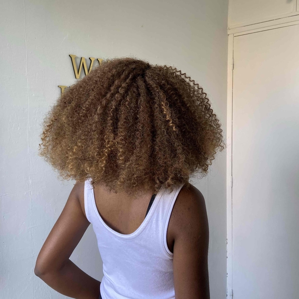salon de coiffure afro tresse tresses box braids crochet braids vanilles tissages paris 75 77 78 91 92 93 94 95 VINGBGTW