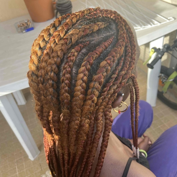 salon de coiffure afro tresse tresses box braids crochet braids vanilles tissages paris 75 77 78 91 92 93 94 95 IJWXVYGR