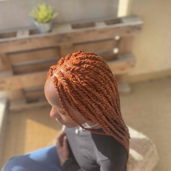 salon de coiffure afro tresse tresses box braids crochet braids vanilles tissages paris 75 77 78 91 92 93 94 95 GXWMELVO