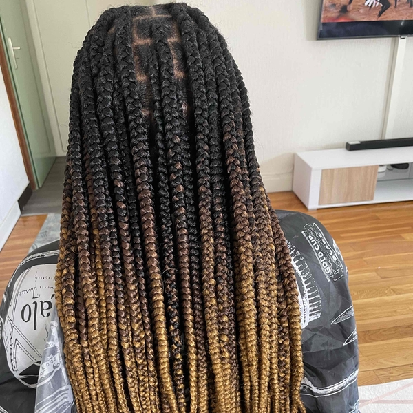 salon de coiffure afro tresse tresses box braids crochet braids vanilles tissages paris 75 77 78 91 92 93 94 95 DMJXTUWD