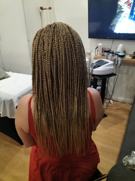 salon de coiffure afro tresse tresses box braids crochet braids vanilles tissages paris 75 77 78 91 92 93 94 95 BKZAPDZS