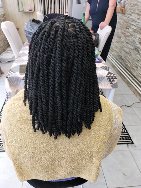 salon de coiffure afro tresse tresses box braids crochet braids vanilles tissages paris 75 77 78 91 92 93 94 95 JXFSLXVZ