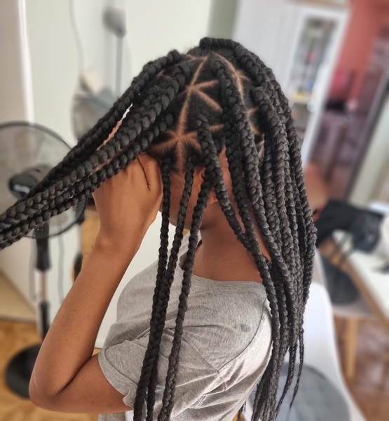 salon de coiffure afro tresse tresses box braids crochet braids vanilles tissages paris 75 77 78 91 92 93 94 95 SVUDUKRN