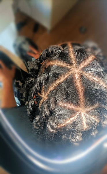 salon de coiffure afro tresse tresses box braids crochet braids vanilles tissages paris 75 77 78 91 92 93 94 95 GUZNCIFB