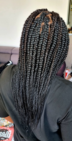 salon de coiffure afro tresse tresses box braids crochet braids vanilles tissages paris 75 77 78 91 92 93 94 95 TYEXUQZK