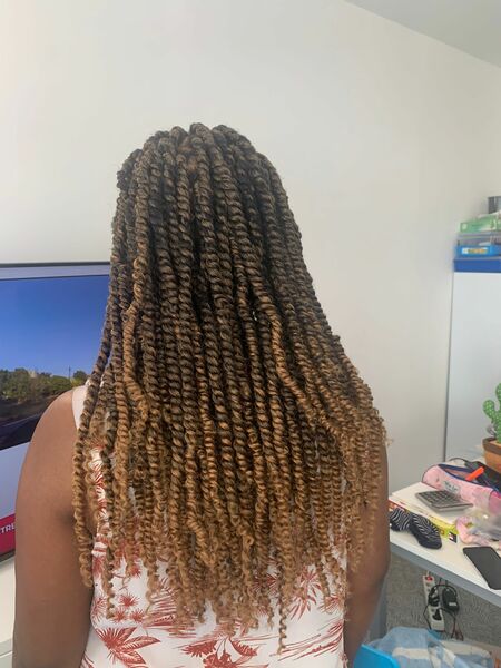 salon de coiffure afro tresse tresses box braids crochet braids vanilles tissages paris 75 77 78 91 92 93 94 95 UTMENUMV