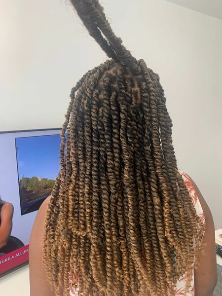 salon de coiffure afro tresse tresses box braids crochet braids vanilles tissages paris 75 77 78 91 92 93 94 95 NRYCVUTR