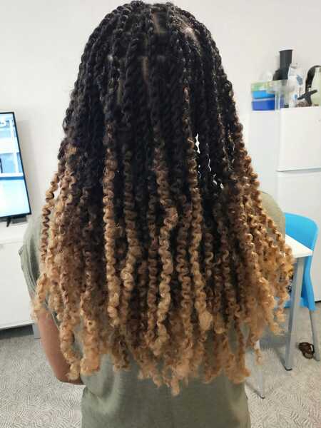 salon de coiffure afro tresse tresses box braids crochet braids vanilles tissages paris 75 77 78 91 92 93 94 95 LXPODJBC