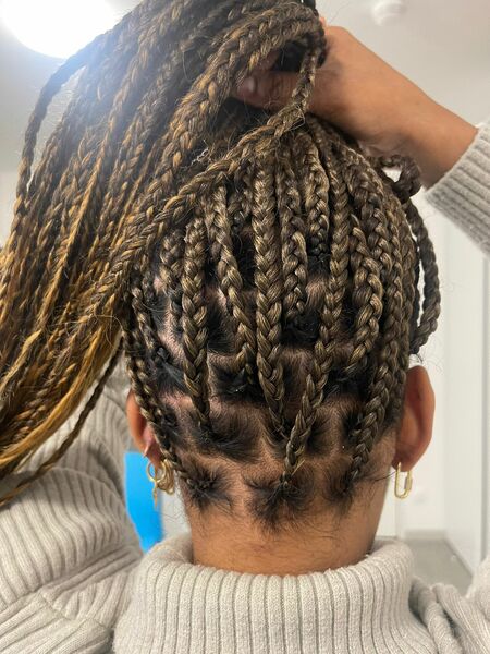 salon de coiffure afro tresse tresses box braids crochet braids vanilles tissages paris 75 77 78 91 92 93 94 95 RVXLZEIG