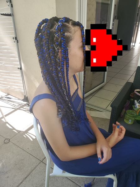 salon de coiffure afro tresse tresses box braids crochet braids vanilles tissages paris 75 77 78 91 92 93 94 95 NJBMLFUR