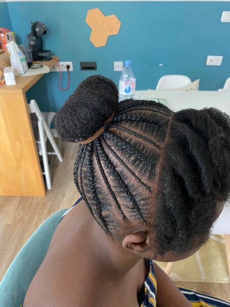 salon de coiffure afro tresse tresses box braids crochet braids vanilles tissages paris 75 77 78 91 92 93 94 95 CWHXARMH