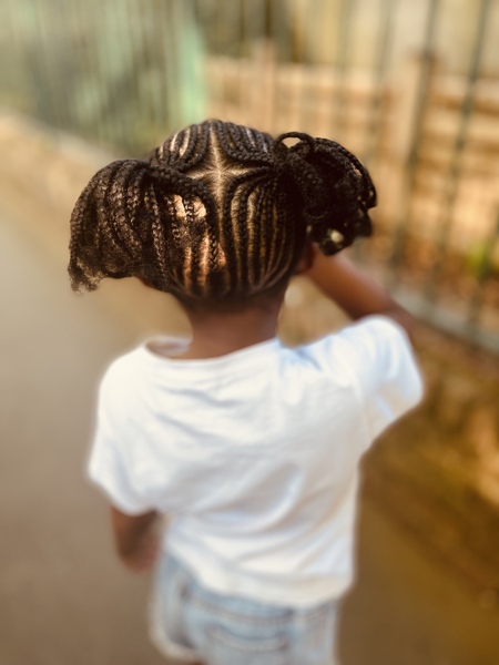 salon de coiffure afro tresse tresses box braids crochet braids vanilles tissages paris 75 77 78 91 92 93 94 95 SJKRDXTS