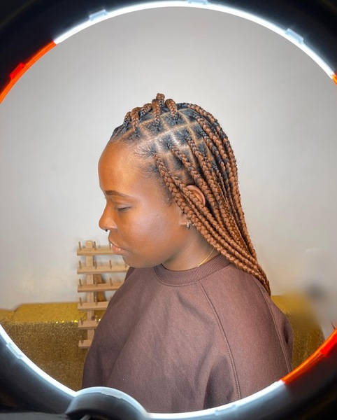 salon de coiffure afro tresse tresses box braids crochet braids vanilles tissages paris 75 77 78 91 92 93 94 95 CJTSTDKM