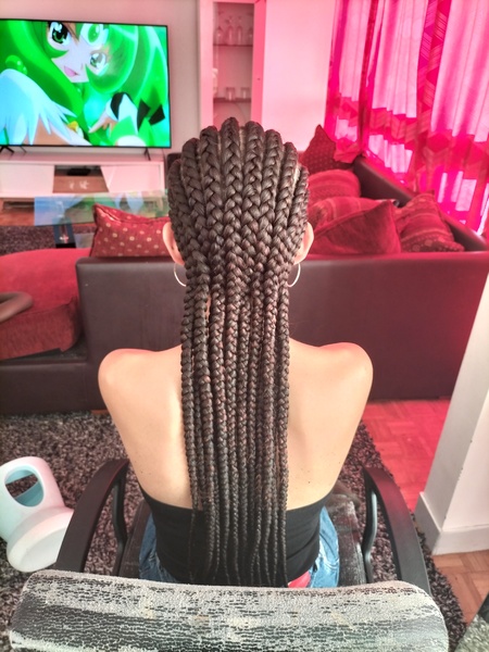 salon de coiffure afro tresse tresses box braids crochet braids vanilles tissages paris 75 77 78 91 92 93 94 95 KWPPLOUJ