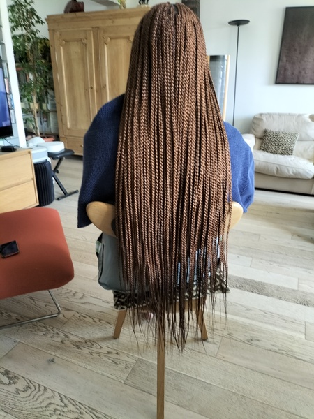 salon de coiffure afro tresse tresses box braids crochet braids vanilles tissages paris 75 77 78 91 92 93 94 95 XVDWITSI