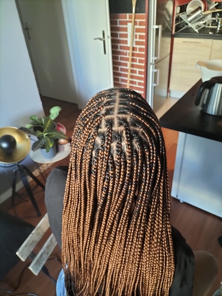 salon de coiffure afro tresse tresses box braids crochet braids vanilles tissages paris 75 77 78 91 92 93 94 95 WUBXBOED