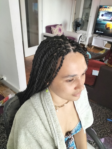salon de coiffure afro tresse tresses box braids crochet braids vanilles tissages paris 75 77 78 91 92 93 94 95 TPDNPEPV