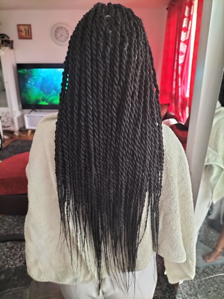 salon de coiffure afro tresse tresses box braids crochet braids vanilles tissages paris 75 77 78 91 92 93 94 95 HPJNWSAR