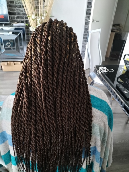 salon de coiffure afro tresse tresses box braids crochet braids vanilles tissages paris 75 77 78 91 92 93 94 95 UDJBUZEX