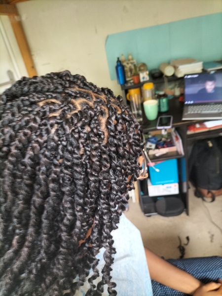 salon de coiffure afro tresse tresses box braids crochet braids vanilles tissages paris 75 77 78 91 92 93 94 95 ZBMTRDMU