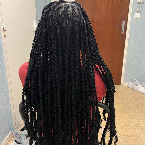 salon de coiffure afro tresse tresses box braids crochet braids vanilles tissages paris 75 77 78 91 92 93 94 95 ISRIZPDD