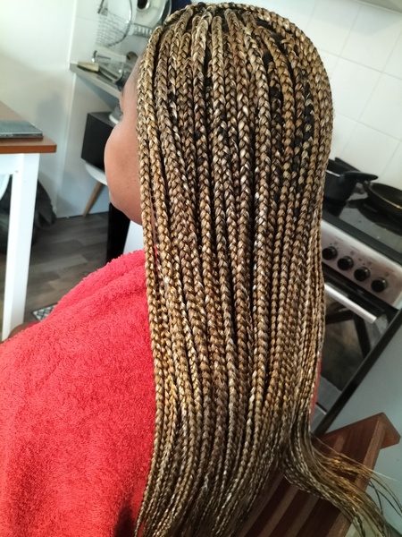 salon de coiffure afro tresse tresses box braids crochet braids vanilles tissages paris 75 77 78 91 92 93 94 95 BLINHCMI