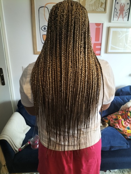 salon de coiffure afro tresse tresses box braids crochet braids vanilles tissages paris 75 77 78 91 92 93 94 95 WKQOKEWA