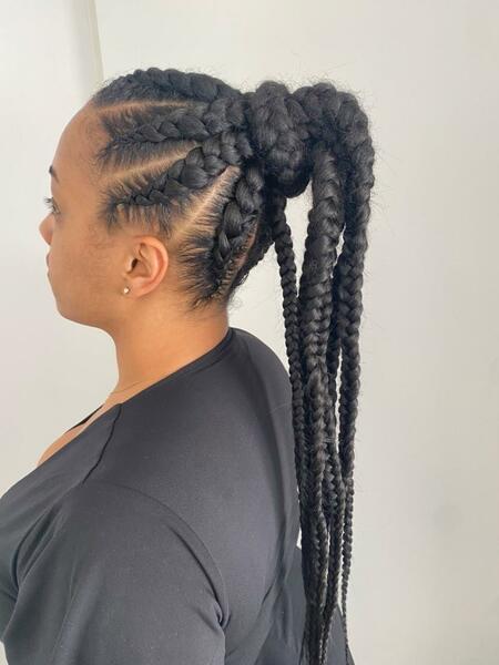 salon de coiffure afro tresse tresses box braids crochet braids vanilles tissages paris 75 77 78 91 92 93 94 95 TZWFWUWG