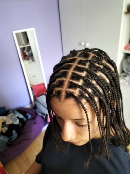 salon de coiffure afro tresse tresses box braids crochet braids vanilles tissages paris 75 77 78 91 92 93 94 95 XTWEGAKX