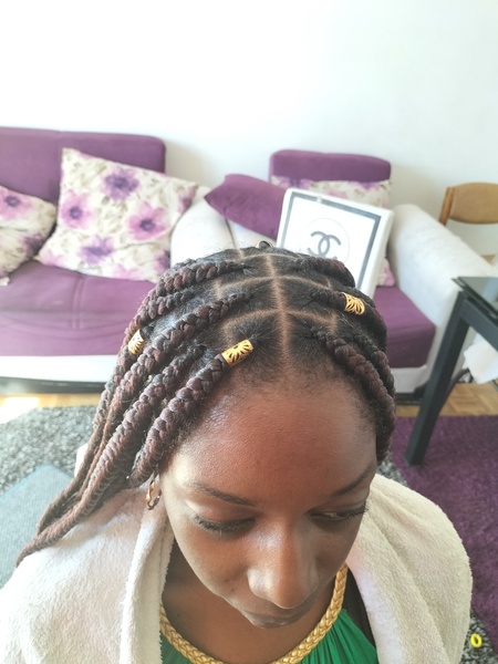 salon de coiffure afro tresse tresses box braids crochet braids vanilles tissages paris 75 77 78 91 92 93 94 95 OQLVFDSE