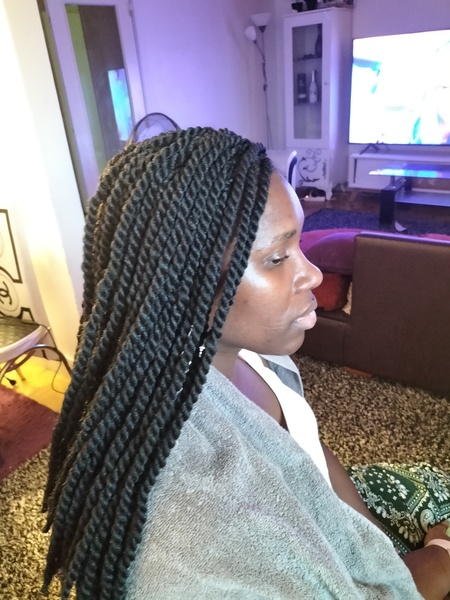 salon de coiffure afro tresse tresses box braids crochet braids vanilles tissages paris 75 77 78 91 92 93 94 95 KPZYRVWQ