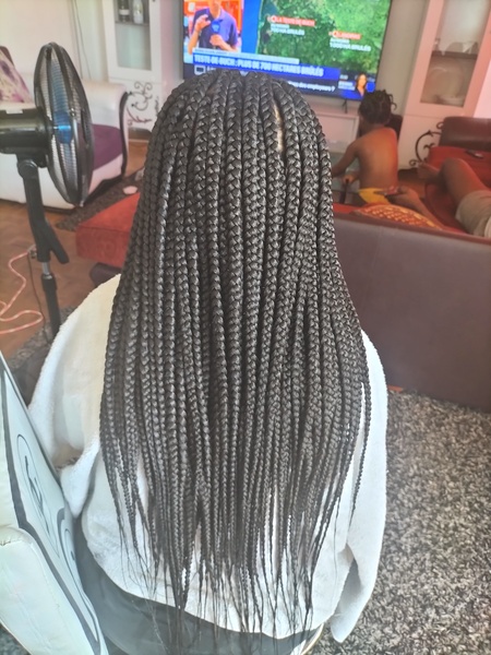 salon de coiffure afro tresse tresses box braids crochet braids vanilles tissages paris 75 77 78 91 92 93 94 95 PJTXASNH