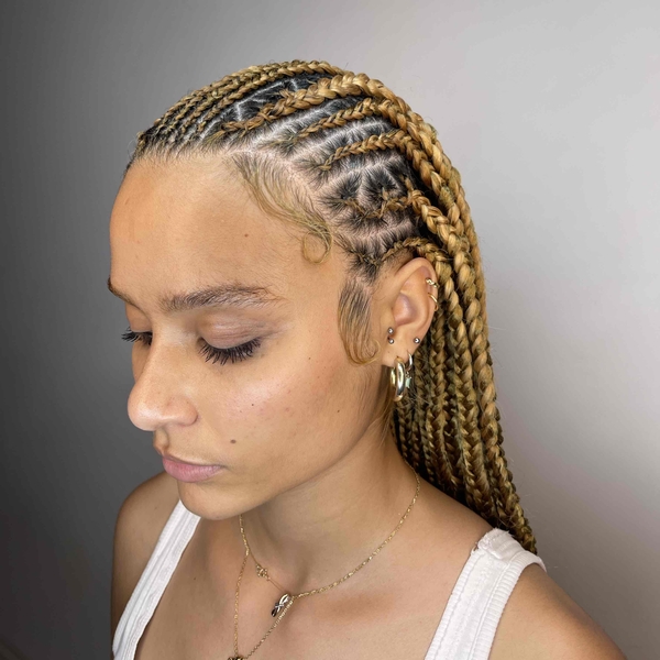salon de coiffure afro tresse tresses box braids crochet braids vanilles tissages paris 75 77 78 91 92 93 94 95 WWVWZWJA