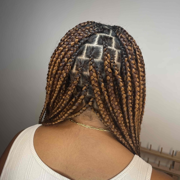 salon de coiffure afro tresse tresses box braids crochet braids vanilles tissages paris 75 77 78 91 92 93 94 95 NMMVNRBE