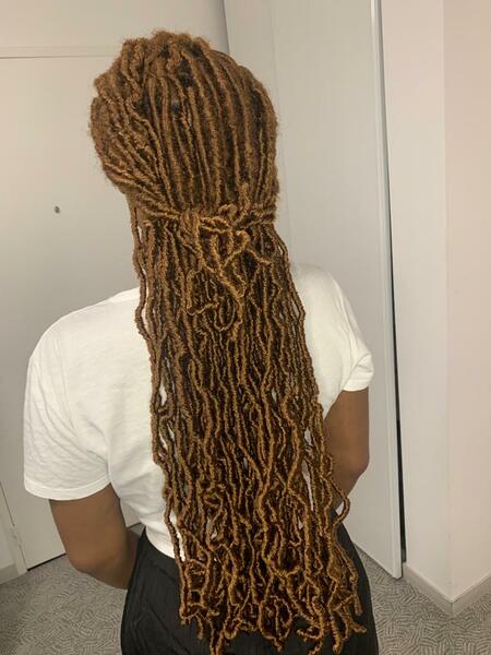 salon de coiffure afro tresse tresses box braids crochet braids vanilles tissages paris 75 77 78 91 92 93 94 95 DHPAVBMW