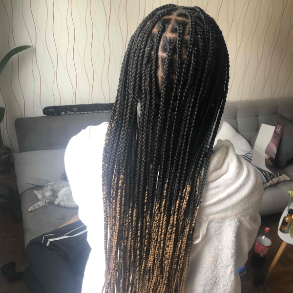 salon de coiffure afro tresse tresses box braids crochet braids vanilles tissages paris 75 77 78 91 92 93 94 95 HFKUVNAR